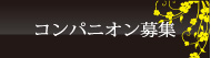 コンパニオン募集