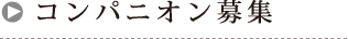 コンパニオン募集