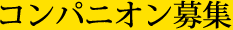 コンパニオン募集